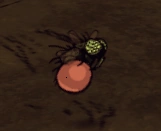 Con Muỗi với Túi Muỗi đầy.