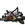 pétales