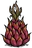 Giant Dragon Fruit