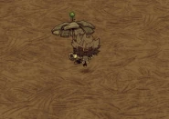 Использование телезонтика