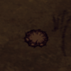 Emprunte koaléphant.png
