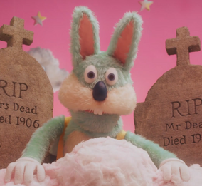 RabbitDHMIS3.png