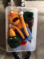 Duck and Yellow Guy in a bin