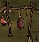 Zwykły susz na suszarni