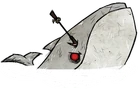 Wieloryb biały (DSS)