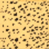 Darń drogi na mapie