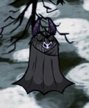 Bazytoperz śpiący podczas dnia.png (84 KB) Bazytoperz śpiący podczas dnia