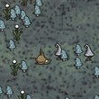Niebieski las grzybowy