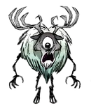 Jeleniocyklop