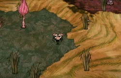 Webber w Zwieprzającej masce.