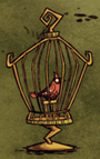 Czerwony ptak w klatce