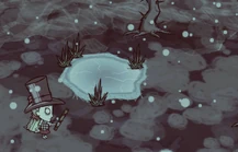 Wendy przy zamarzniętym stawie