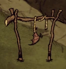 Suszone skrzydła bazytoperza