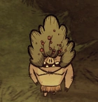 Świnia w krzaczastym kapeluszu