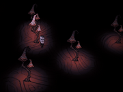 Biom grzybowy czerwony w grze.png