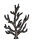 Sapling1