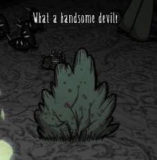 Postać schowana w krzaczastym kapeluszu