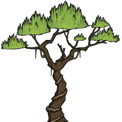 Kategoria:Drzewa | Don't Starve Wiki | Fandom