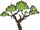Tropikalne drzewo (DSS)