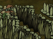 Chore sadzonki trawy w Don't Starve: Razem