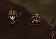 Przypadkowo znalezione przedmioty, które wcześniej zostały zjedzone przez wabiącą roślinę.