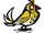 Kanarek (DST).png
