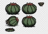 Kaktus w plikach gry