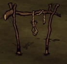 Żabie udka na suszarni