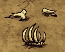 3 rodzaje kości w grze.