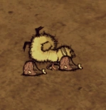 Martwe gęsiołosiątko