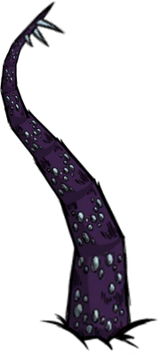 Macka.png