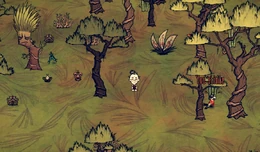 Wickerbottom w dżungli