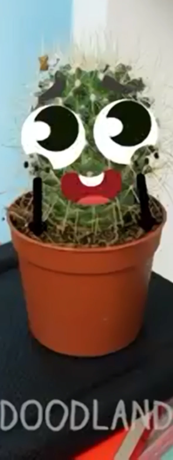 Cactus Doodland | Doodland encyclopedia Wiki | Fandom