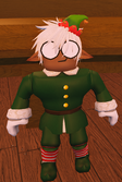 RobloxScreenShot20241225 143045244