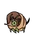 Nymshrew 1
