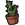 Potted Cactus