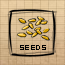 Seeds.png