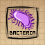 Bacteria (DG).png