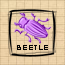 Beetle (DG)