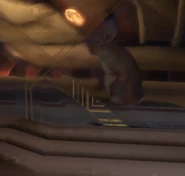 На локации Урдак она находится за стеклом в одном из технических помещений, где Палач пытается настроить портал на Землю