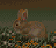 На стартовом экране официального порта Doom95