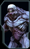 Hell Knight Codex Image