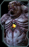 Mancubus Codex
