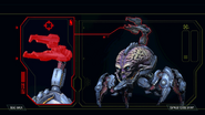 Arachnotron Full Codex Image