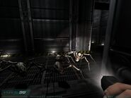 Trites seen from the Delta Labs 3 final teleporter destination pod