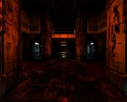 Bloody hallucination