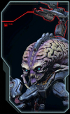 Arachnotron Codex Image Small