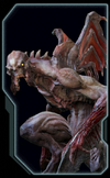 Gargoyle Codex
