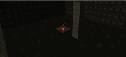 Screenshot 2024-11-13 075242