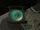 Video Disks